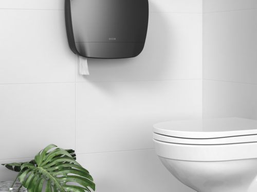 Tualetinio popieriaus laikikliai